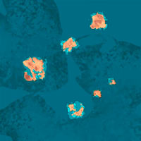 J3 Atlas Region Small
