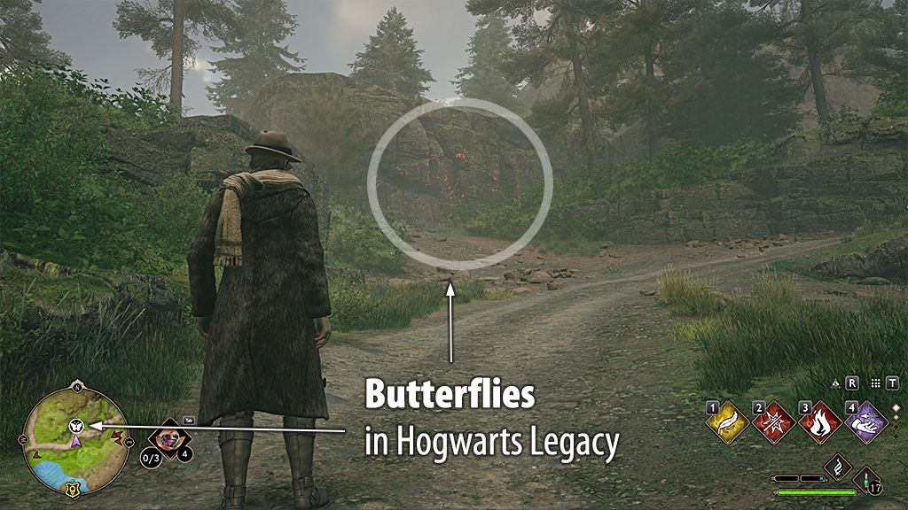 This is what a Butterflies swarm looks like in Hogwarts Legacy - Hogwarts Legacy