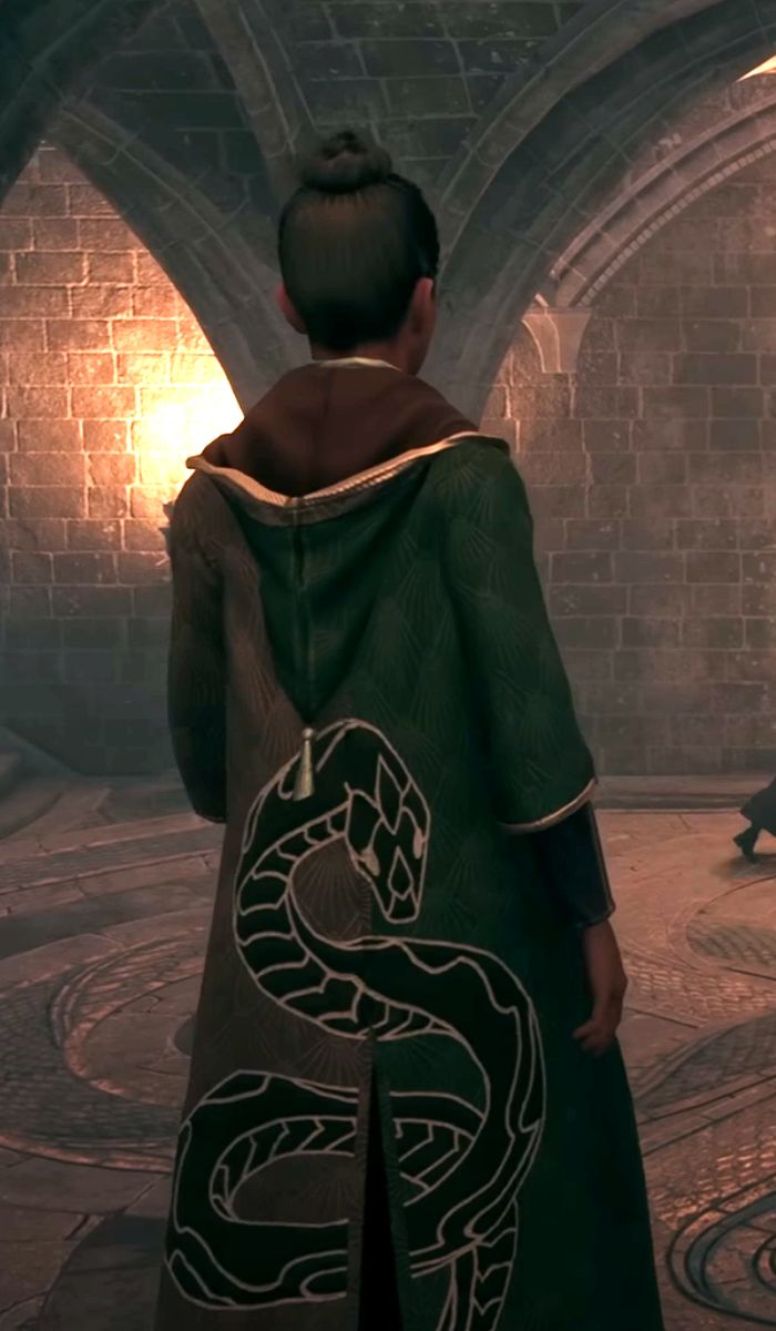 Slytherin Robe Colors and Serpent Emblem - Hogwarts Legacy