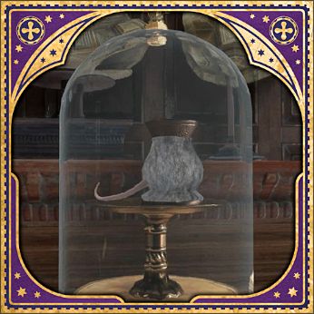 Partial Transfiguration - Revelio Field Guide Page - Hogwarts Legacy