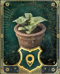 Herbology Class Hogwarts Legacy Main Quest