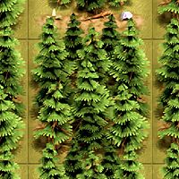 Old Forest in Legacy of Kings: Idle Builder