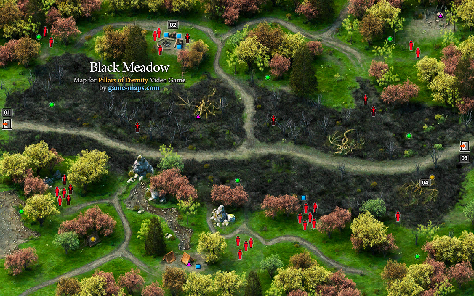 Black Meadow Map - Pillars of Eternity