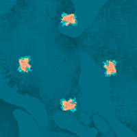 Atlas H13 Region Map small