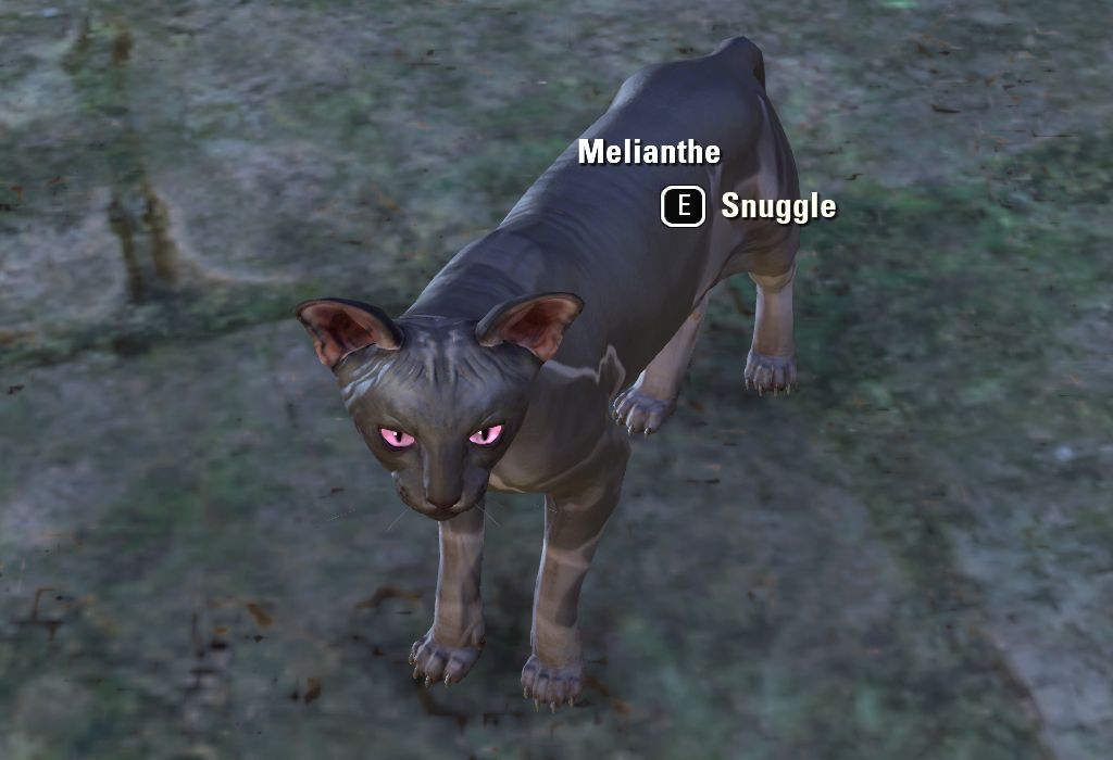 Melianthe - The Elder Scrolls Online (ESO)