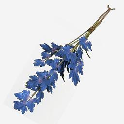 Herb Plants Herbs Resource Location Map New World MMO