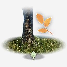 Ironwood Trees Wood Resource Location Map New World MMO