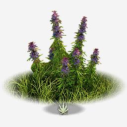 Silkweed Plants Fibers & Cloth Resource Location Map New World MMO